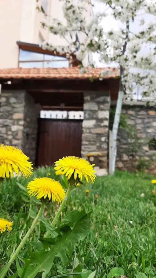 Guesthouse Tershana Peshkopi Exterior photo